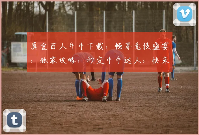 真金百人牛牛下载，畅享竞技盛宴，独家攻略，秒变牛牛达人，快来加入