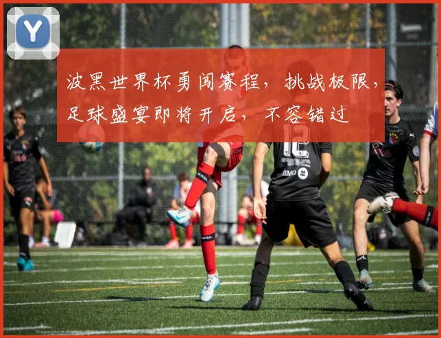 波黑世界杯勇闯赛程，挑战极限，足球盛宴即将开启，不容错过