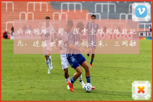 公海网络公司，探索全球网络新纪元，连接世界，共创未来，三网融合，创新无限。