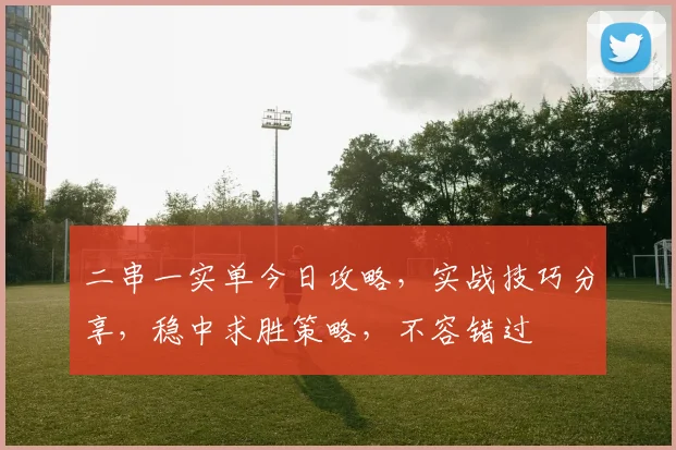 二串一实单今日攻略，实战技巧分享，稳中求胜策略，不容错过