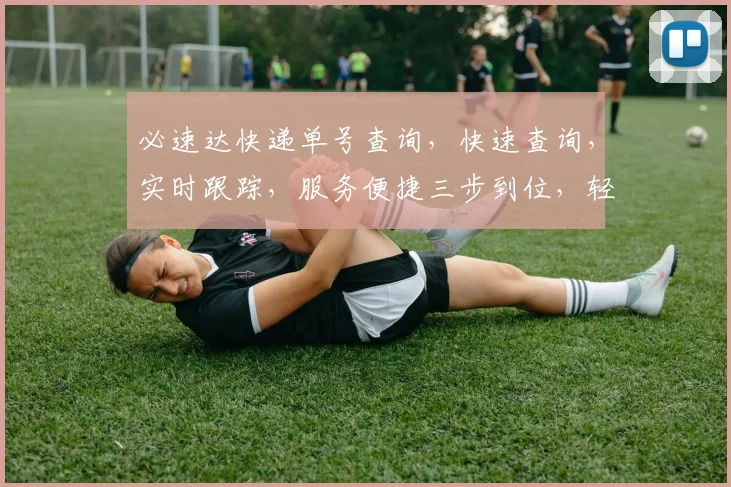 必速达快递单号查询，快速查询，实时跟踪，服务便捷三步到位，轻松追踪快递动态。