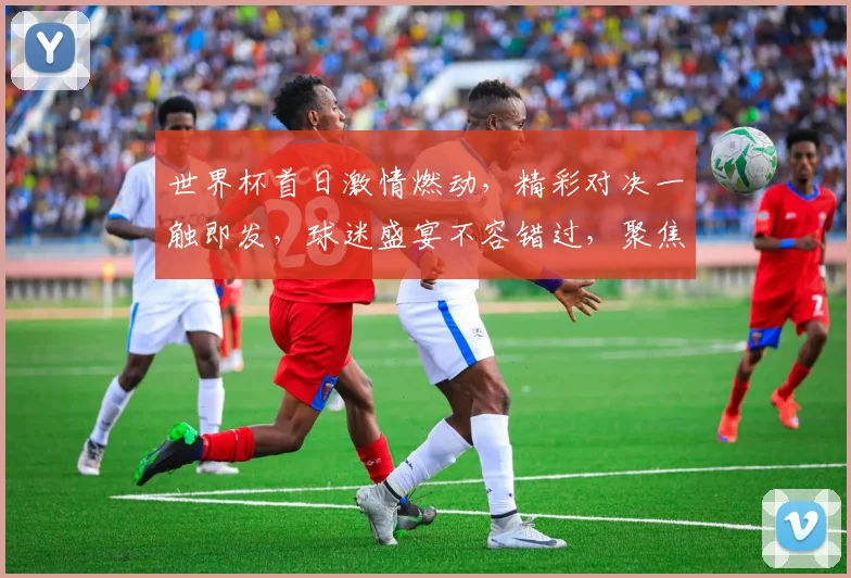 世界杯首日激情燃动，精彩对决一触即发，球迷盛宴不容错过，聚焦焦点赛事