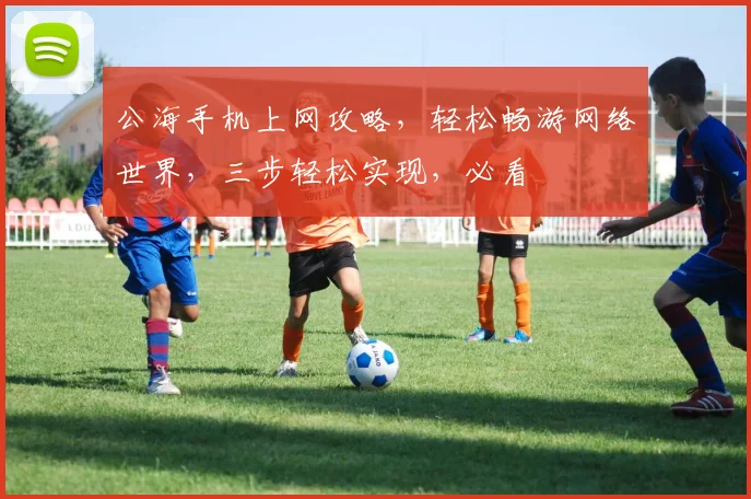公海手机上网攻略，轻松畅游网络世界，三步轻松实现，必看